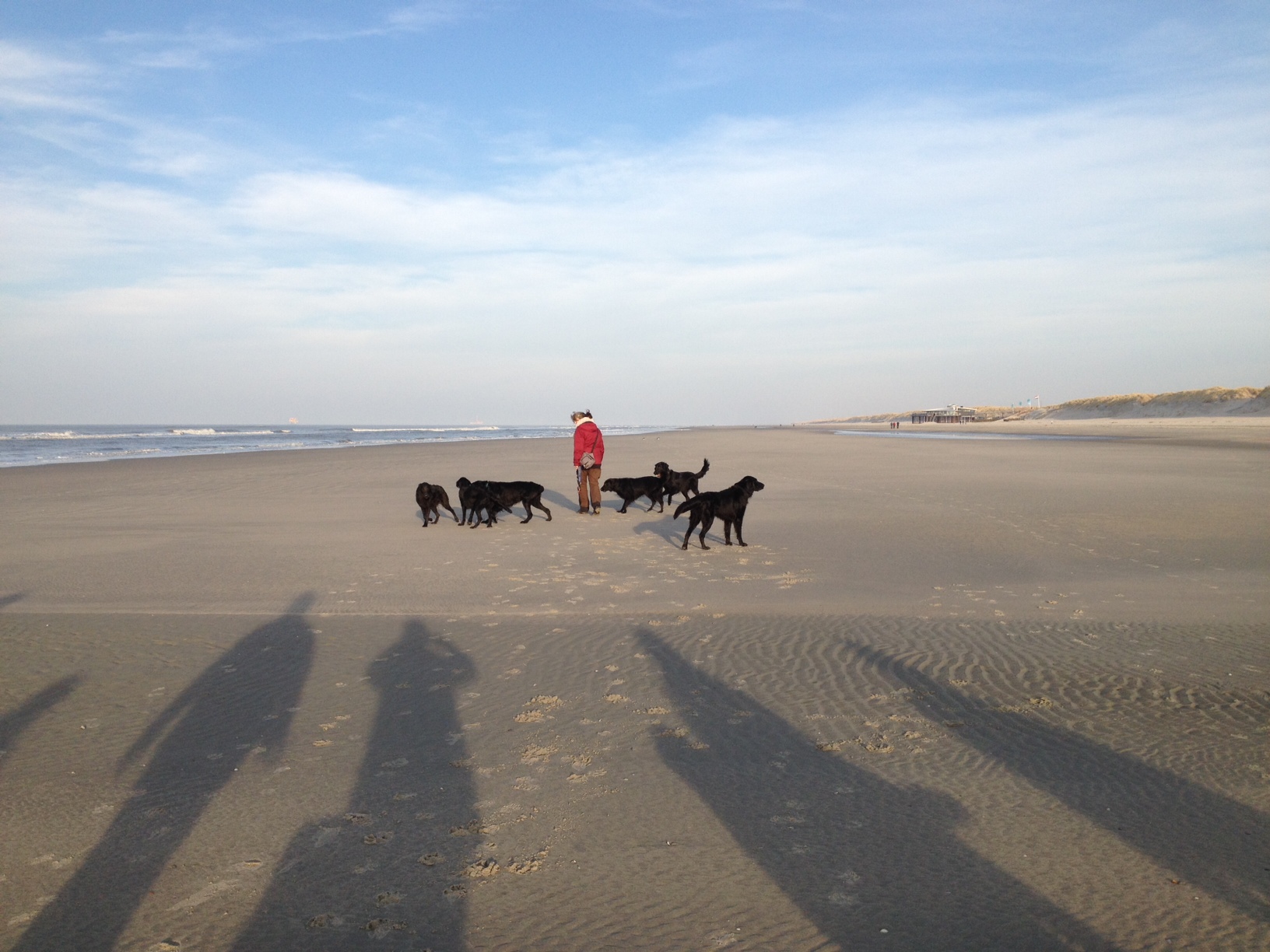 strand1