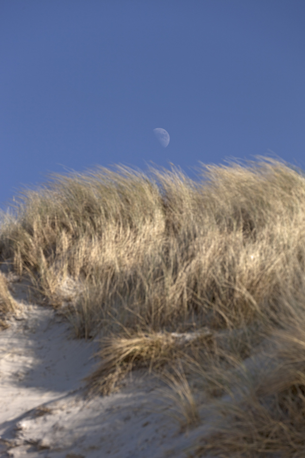 mond