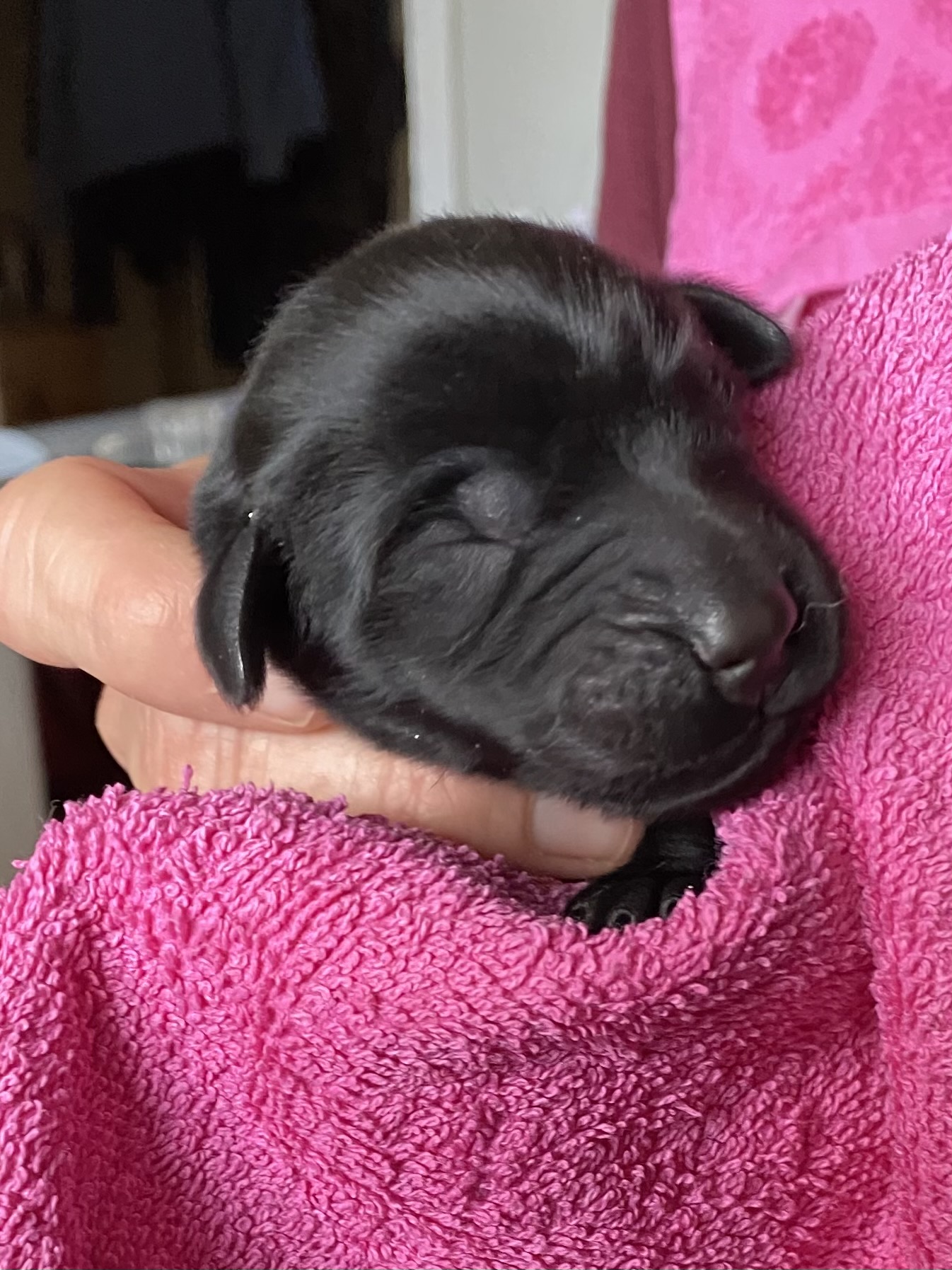 oona