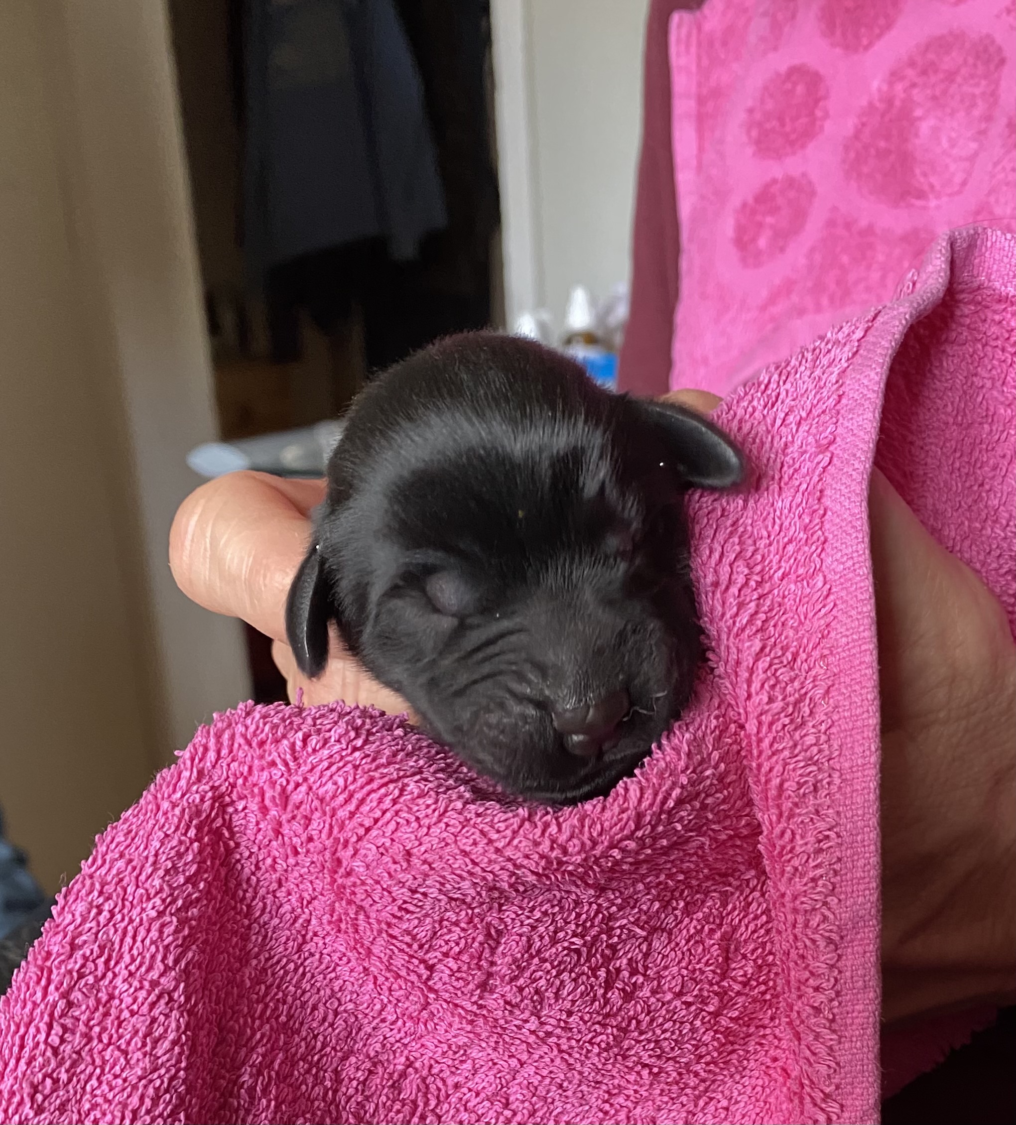 oona